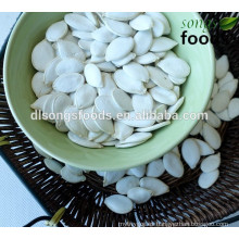 Semilla de calabaza de China Blancanieves de alta calidad